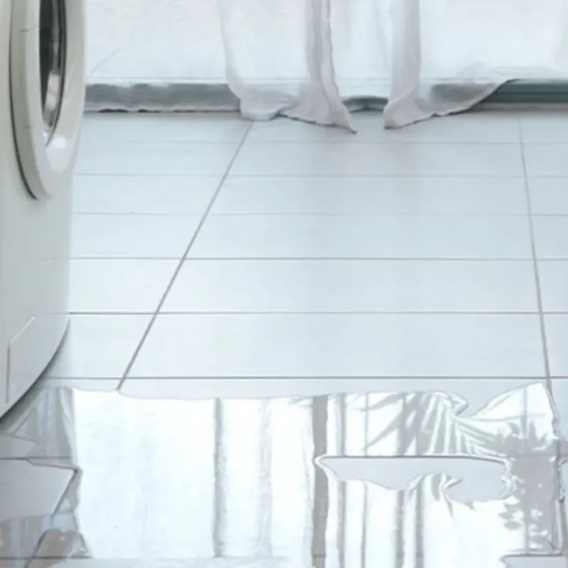 Appliance Leak Cleanup in Quincy, CA
