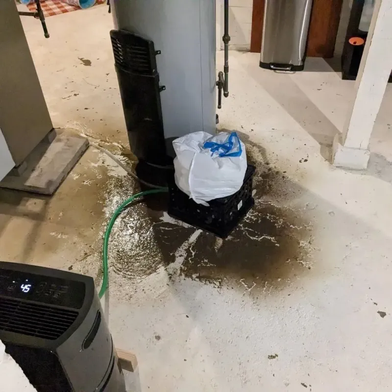 Sewage Backup Cleanup Service in Quincy, CA